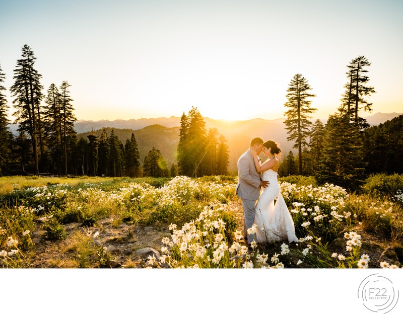 Lake Tahoe Wedding Photographer: Sunset