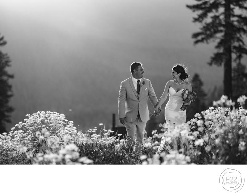 Lake Tahoe Wedding Photographers: Intimate Sunset