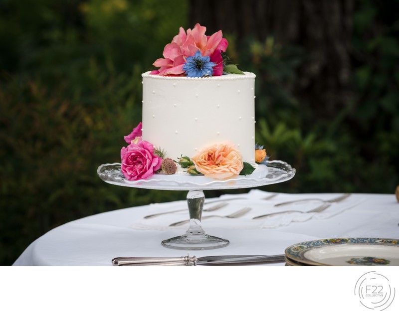 Micro Intimate Wedding Cake Sacramento Photographers