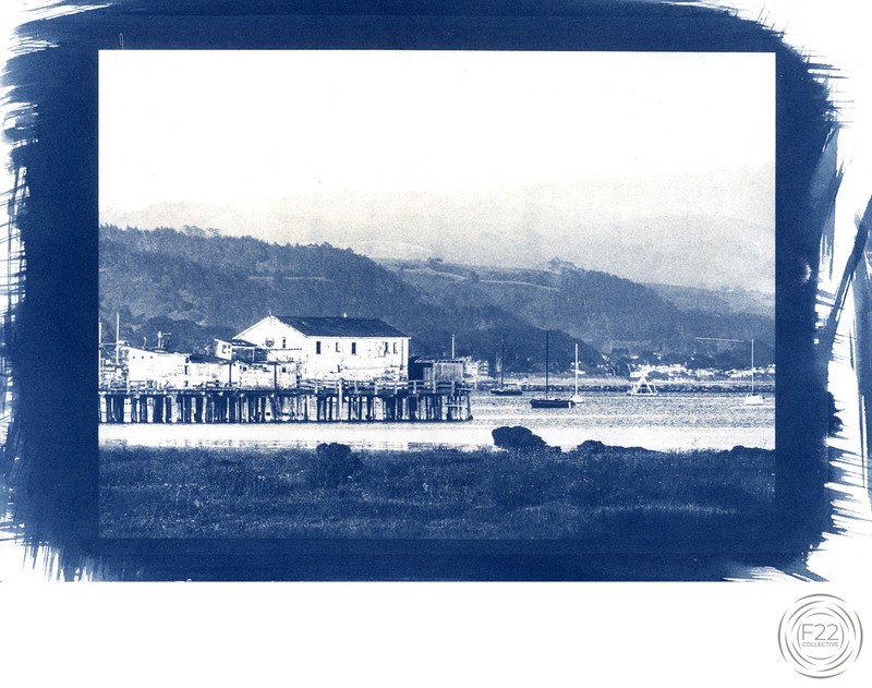 Cyanotype that was created by Debbie Labrot of Labrot Studios.