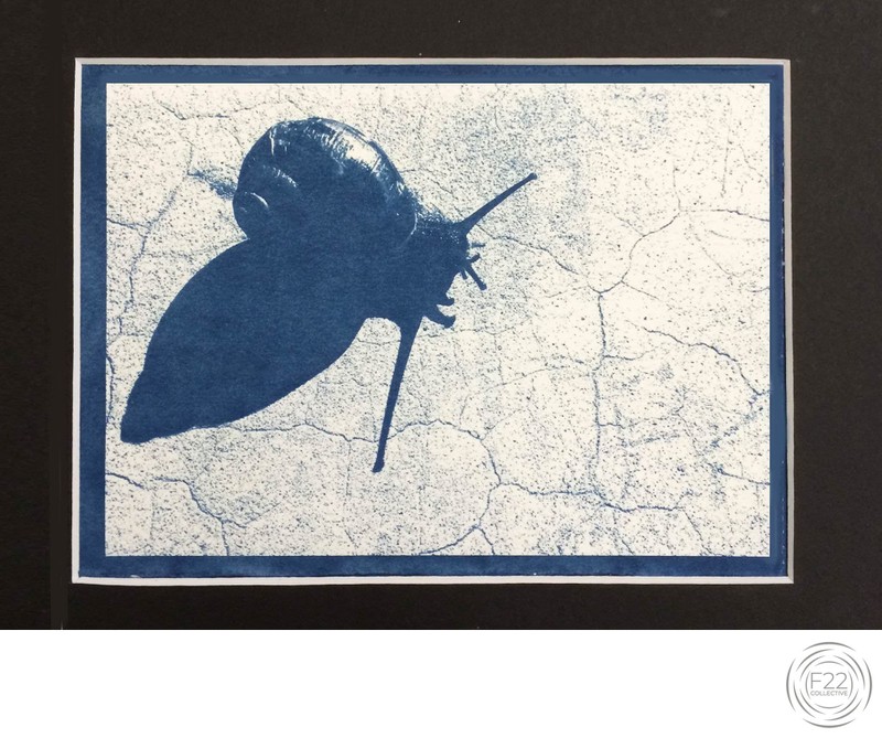 Sacramento Student Cyanotype