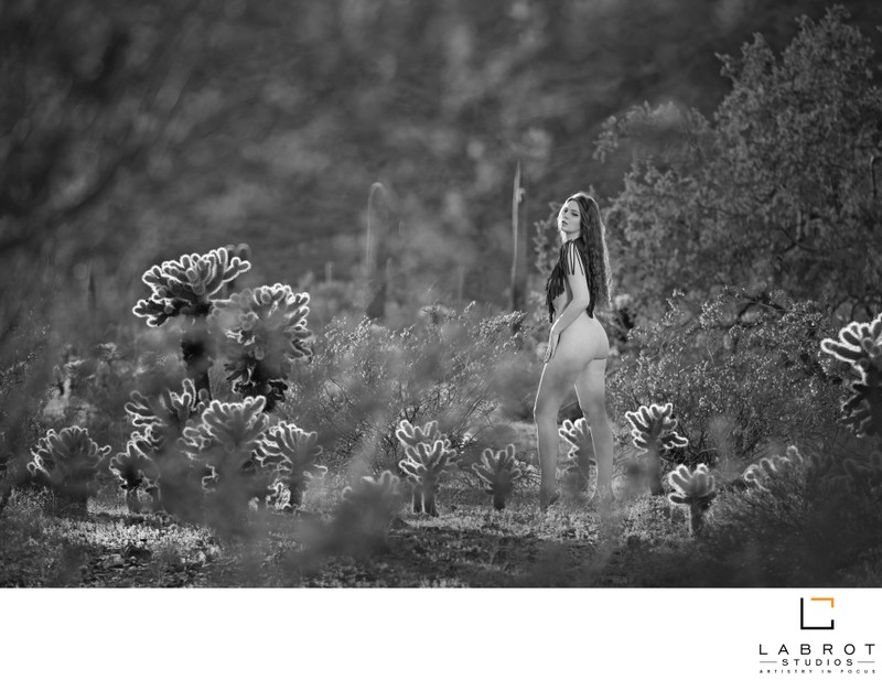 Stunning Outdoor Boudoir Photographer