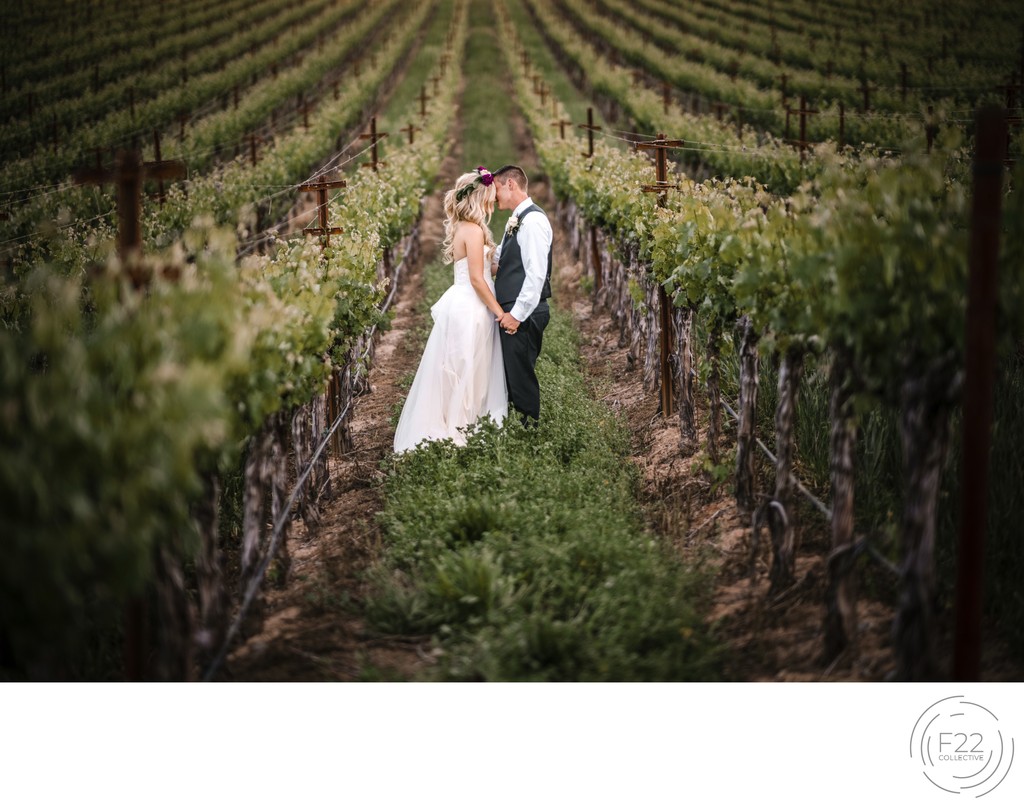 Best Wedding Photographers Sacramento Vineyard Couple