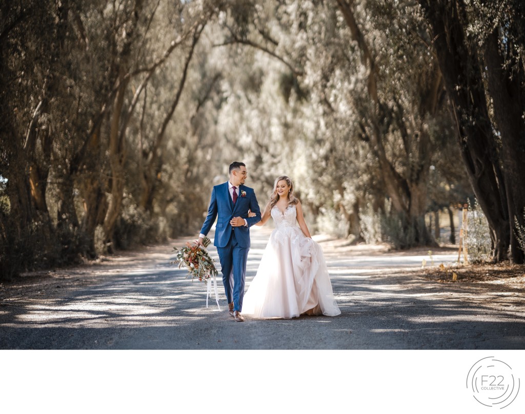 Best Wedding Photographers Sacramento Olive Tree Walk