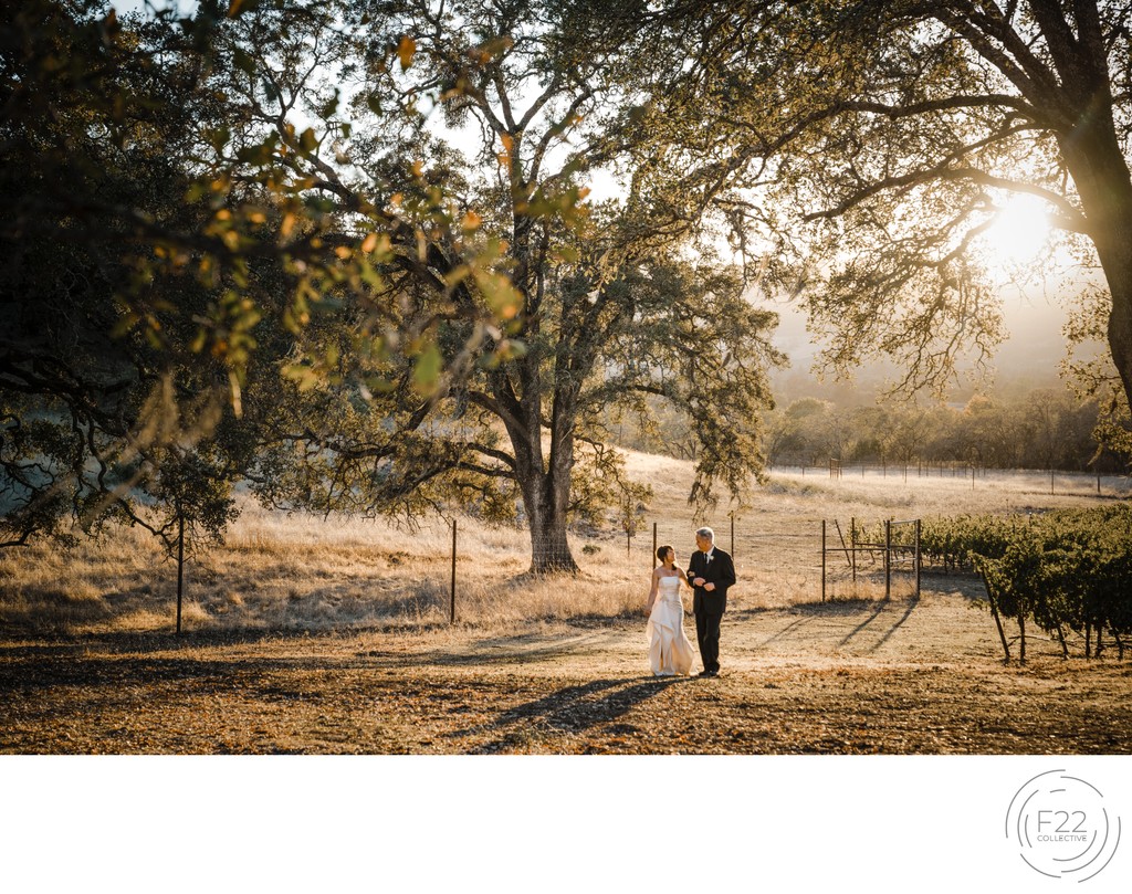 Best Wedding Photographers Sacramento Sunset Couple