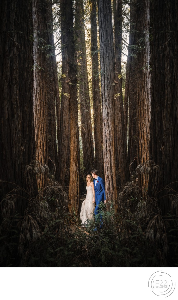 Couple in Redwoods Best Wedding Photography Sacramento 