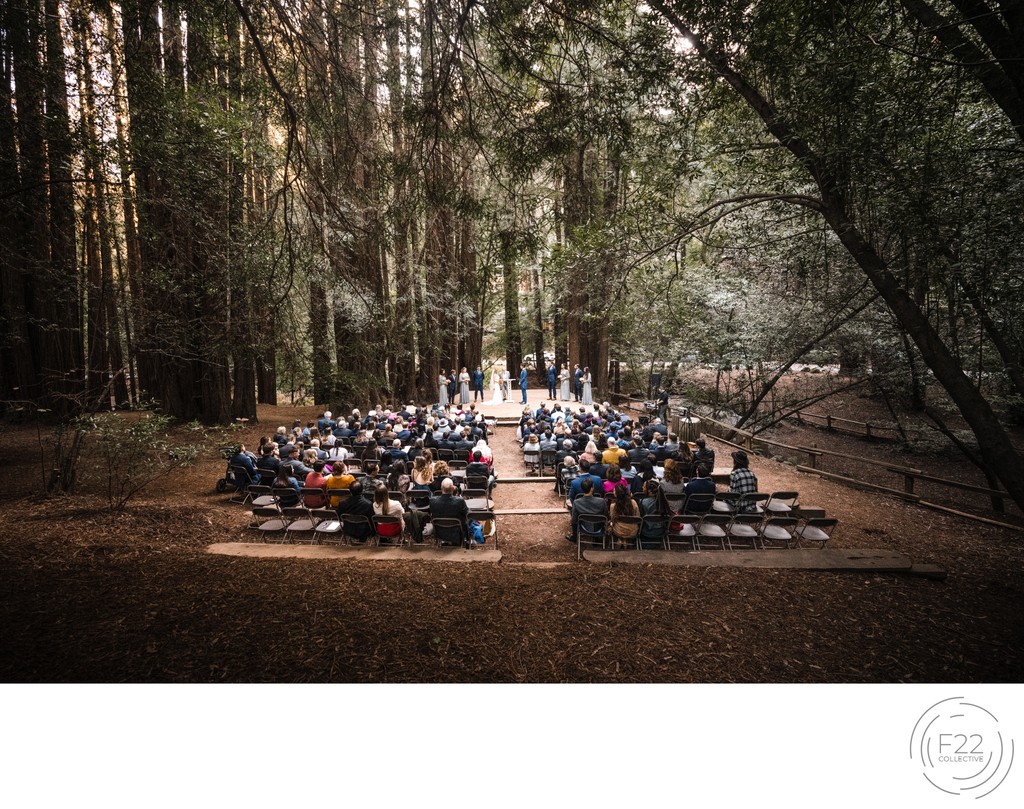 Ceremony Redwoods Best Wedding Photographer Sacramento 