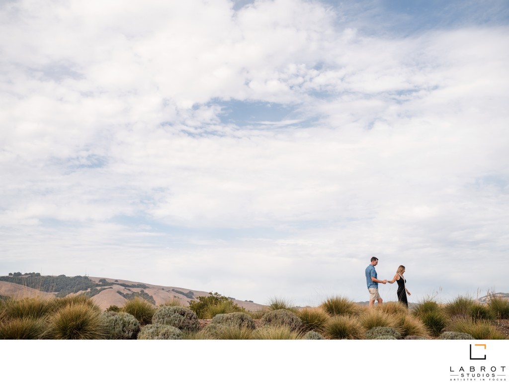 Sonoma Anuba Winery Proposal Photographers