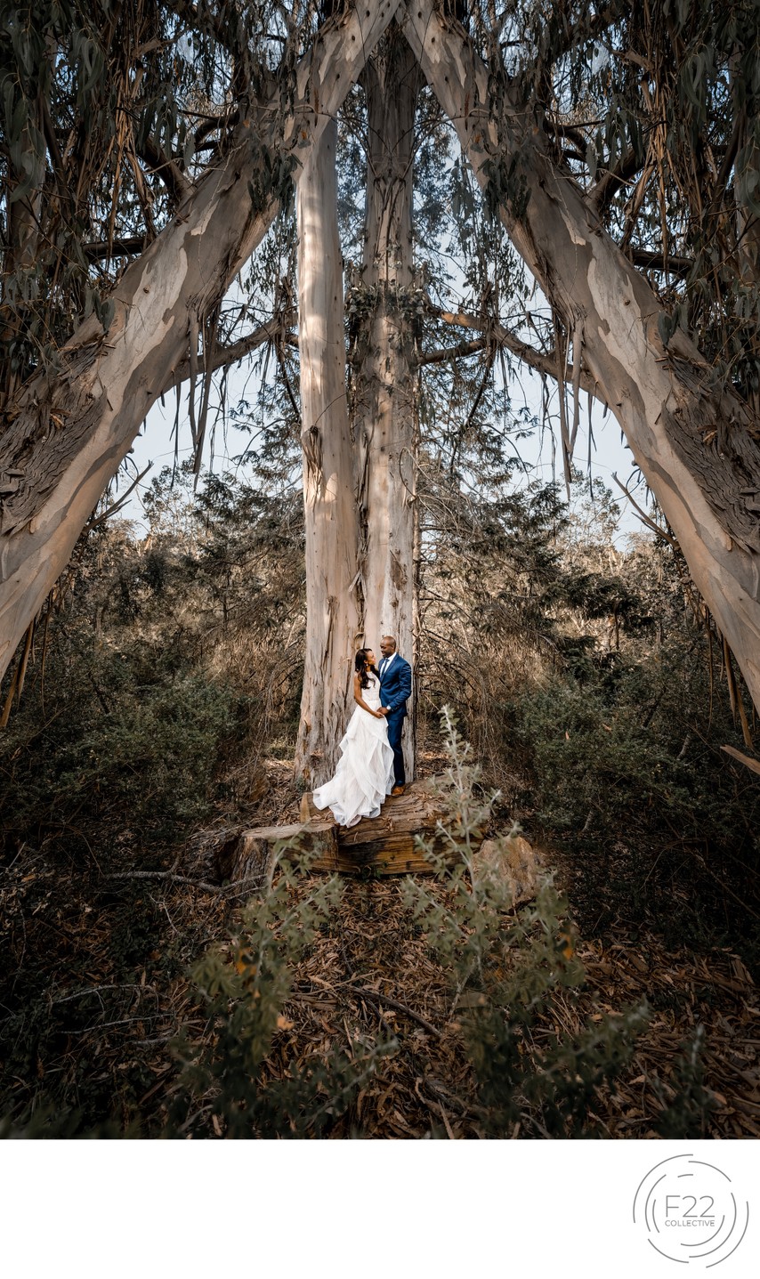 Best Wedding Photographers Sacramento Gorgeous Couple
