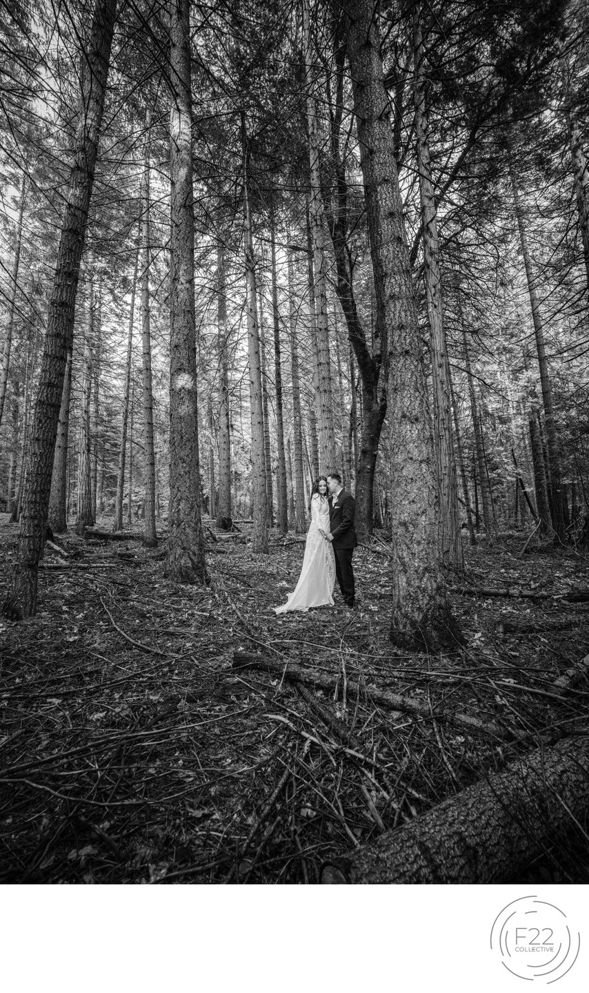 Couple in Forest Best Wedding Photographers Sacramento 