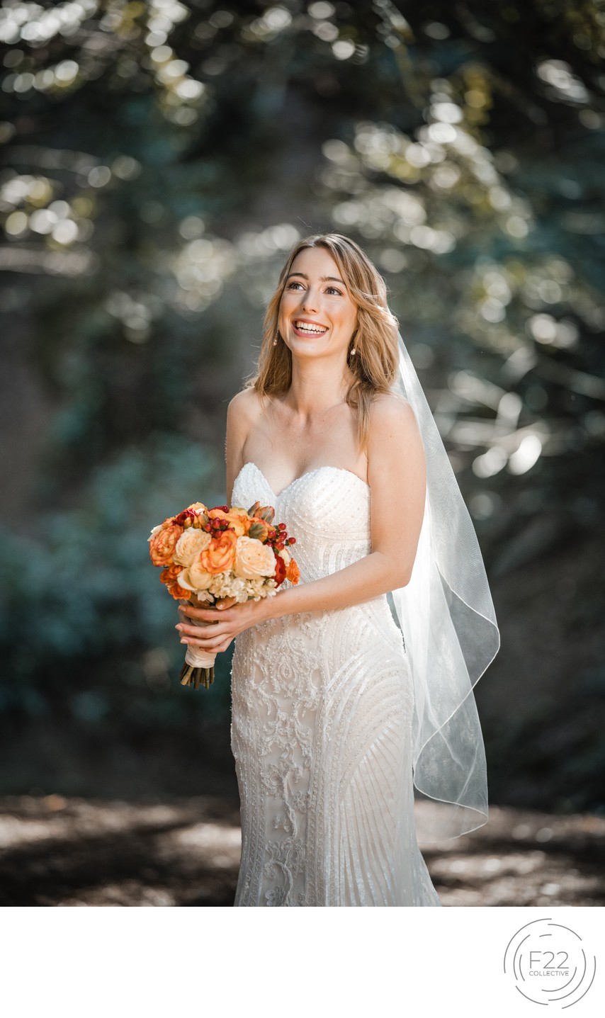 Bridal PortrailBest Wedding Photographers Sacramento 