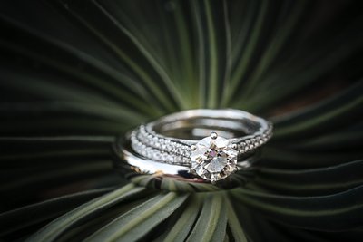 Sacramento Wedding Photographer Styled Wedding Rings