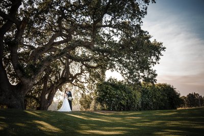 Best Wedding Photographers Sacramento Couple Under Tree