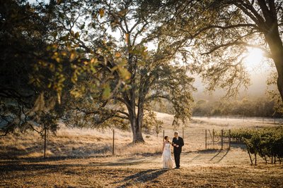 Best Wedding Photographers Sacramento Sunset Couple