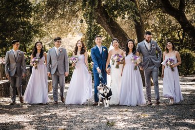 Wedding Party Pup Best Wedding Photographer Sacramento 