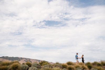 Sonoma Anuba Winery Proposal Photographers