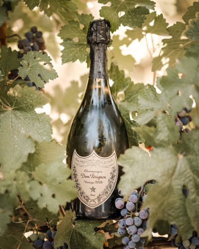 Champagne and Vineyards: Sacramento Wedding Photography