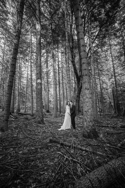 Couple in Forest Best Wedding Photographers Sacramento 