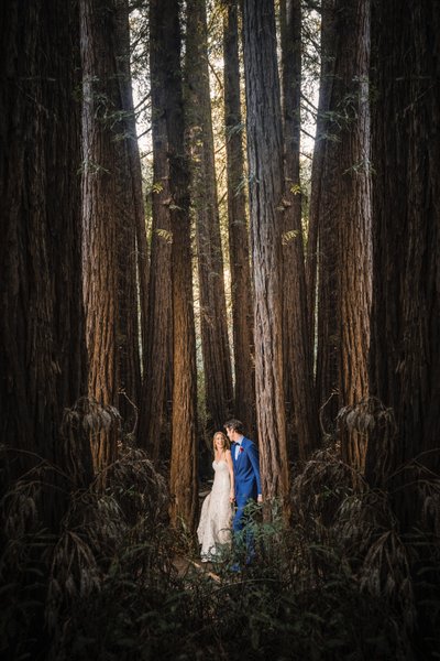 Couple in Redwoods Best Wedding Photography Sacramento 