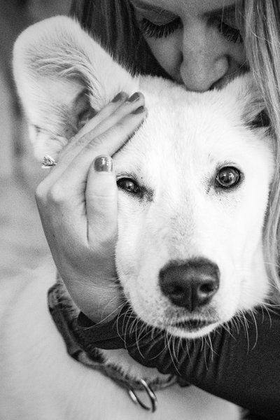 Sacramento Wedding Photographers Proposal Pup Witness