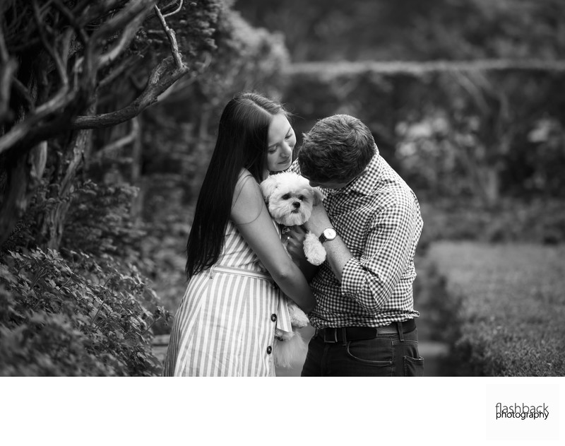 High Park Family Portraits