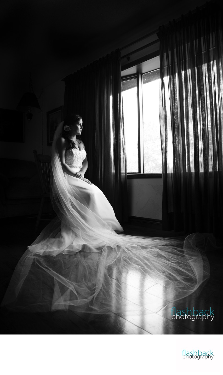 Window-lit Bridal Portrait