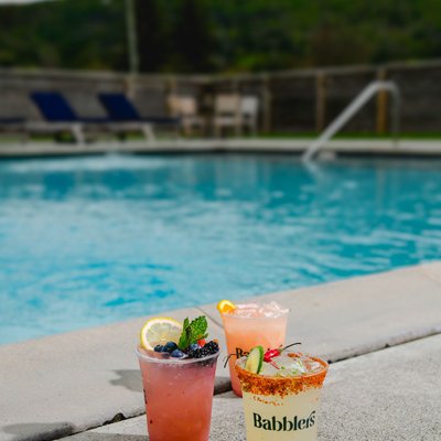 Babblers Poolside