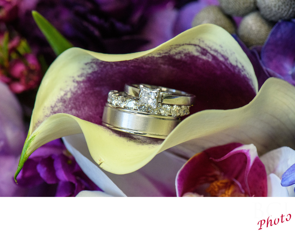 Wedding Rings on a Cala Lilly