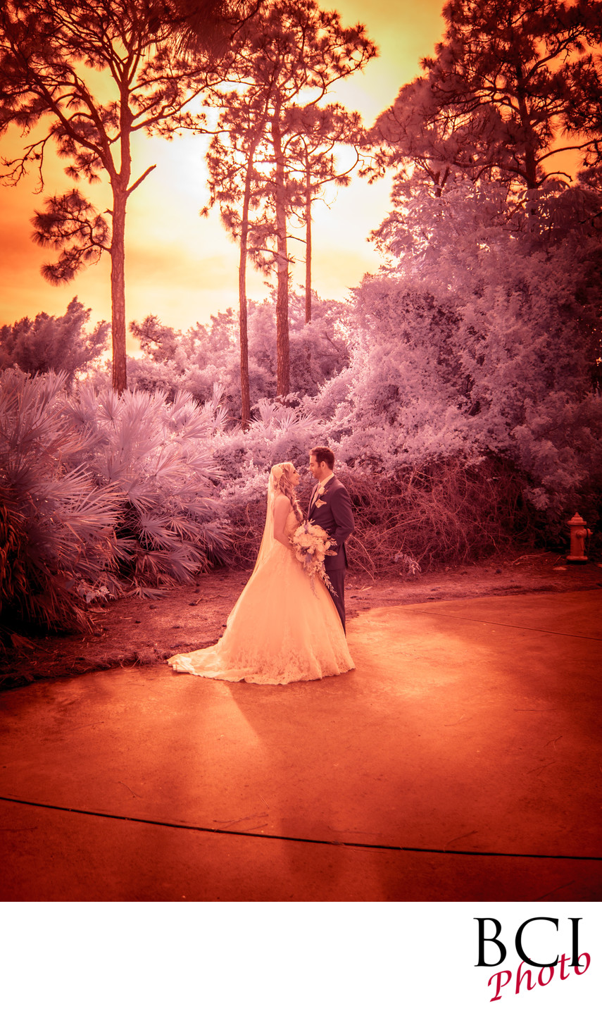 Infrared Wedding Images from Florida