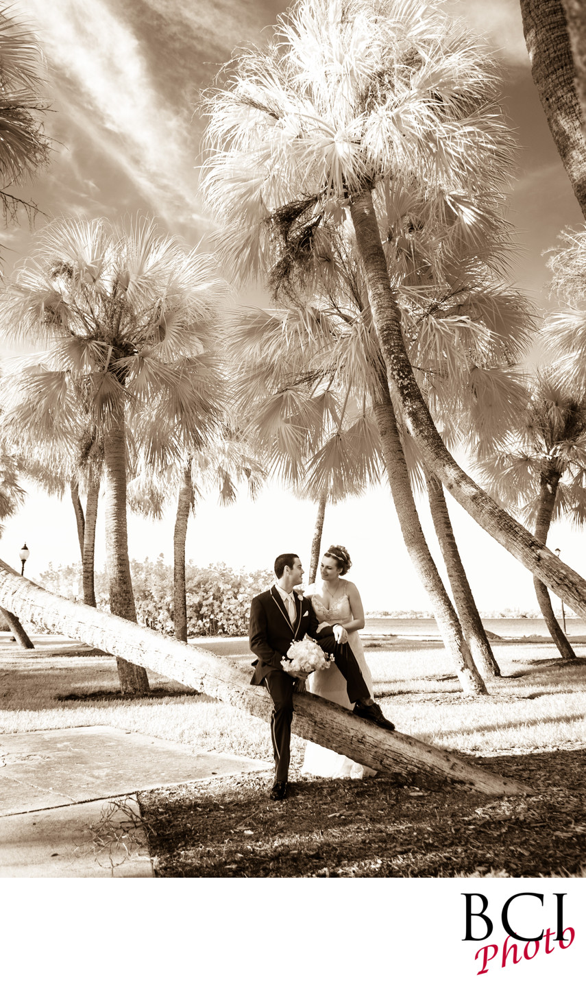 South Florida's best wedding photography company