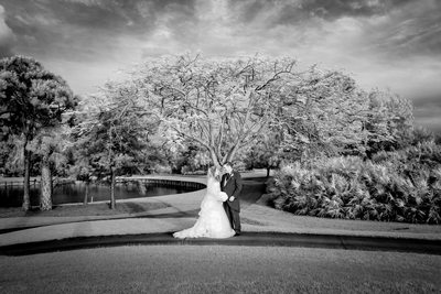 Best wedding photographers in Okeechobee