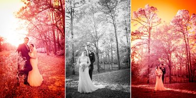 Best wedding photographers in Indian River County