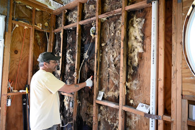 Pictures showing mold damage