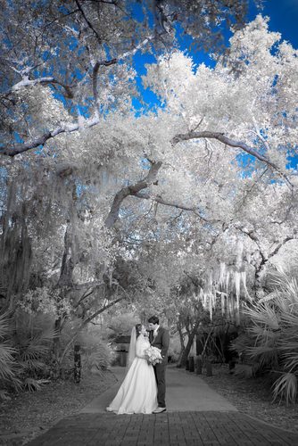 Infrared wedding image from Harbour Ridge.