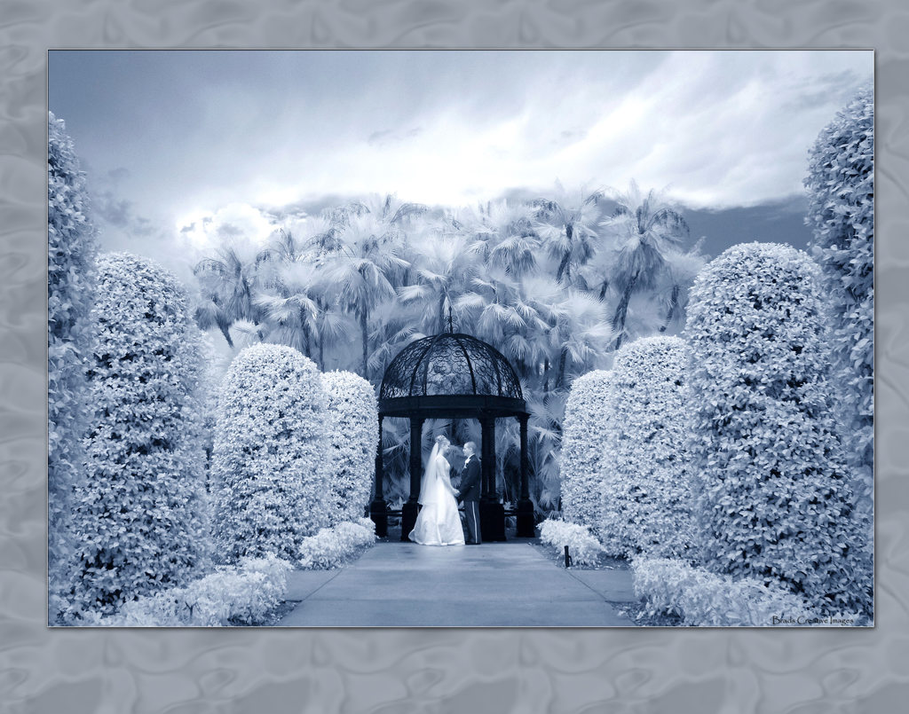 Brad's Creative Images