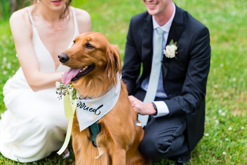 Just Married with Their Pup – Ramble Creek Wedding