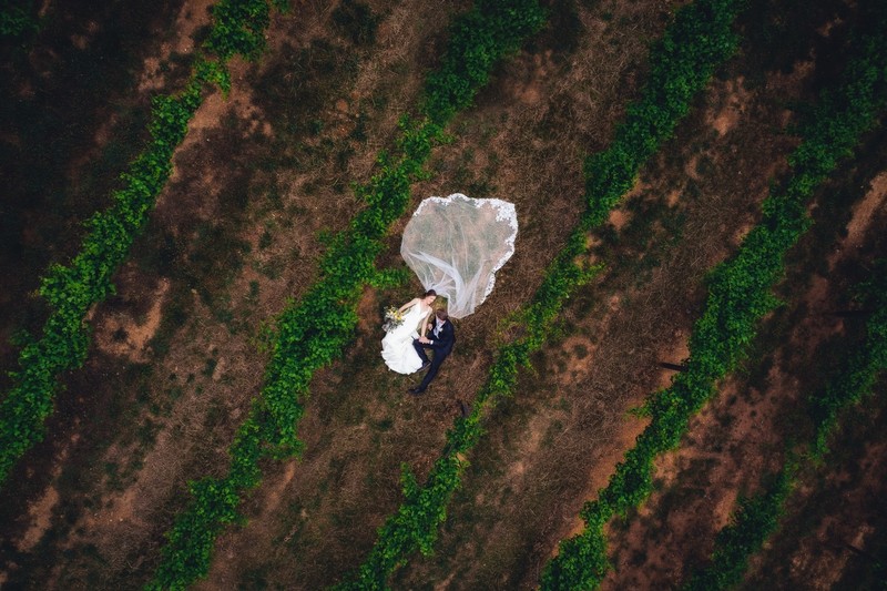 Aerial Vineyard Kiss at Ramble Creek Wedding