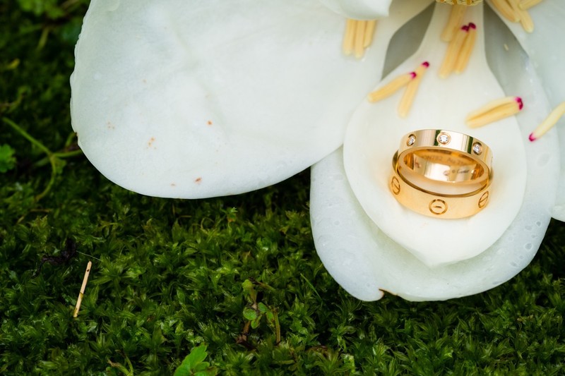 Elegant Rings at Barn at Highpoint Farms Wedding