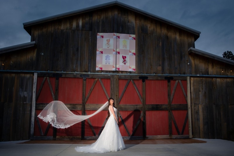 Dramatic Veil Portrait at Mountain Mist Farms