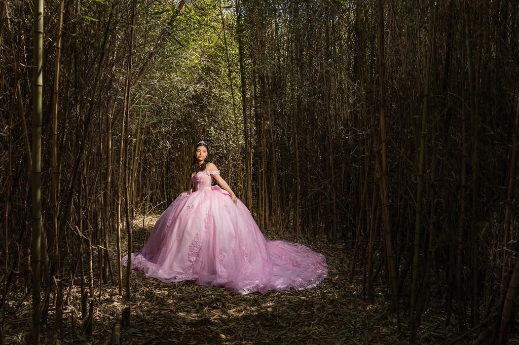 Mis XV Photos at Knoxville Botanical Gardens 5