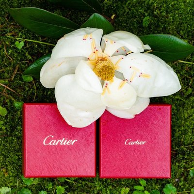 Cartier Wedding Photo