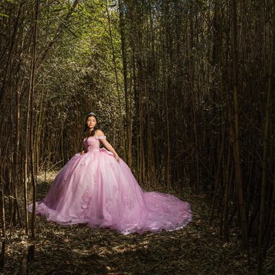 Mis XV Photos at Knoxville Botanical Gardens 5