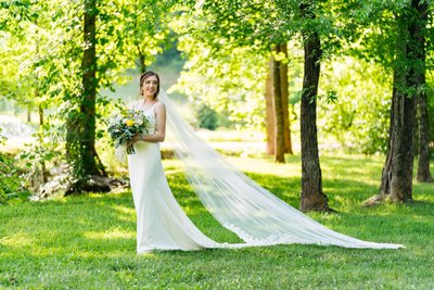  Bride Portrait with Cathedral Veil at Ramble Creek