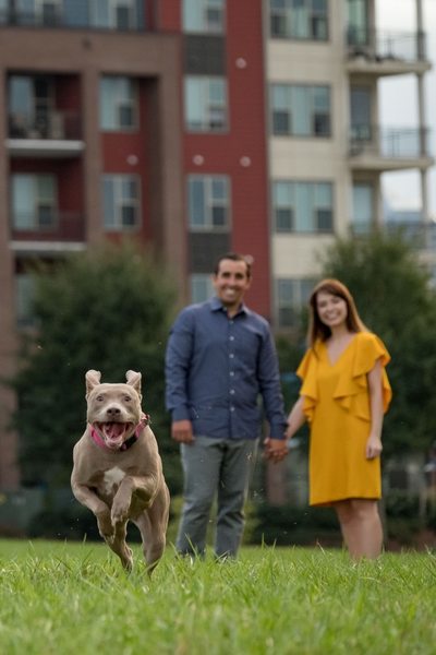 Animal friendly engagement photographer