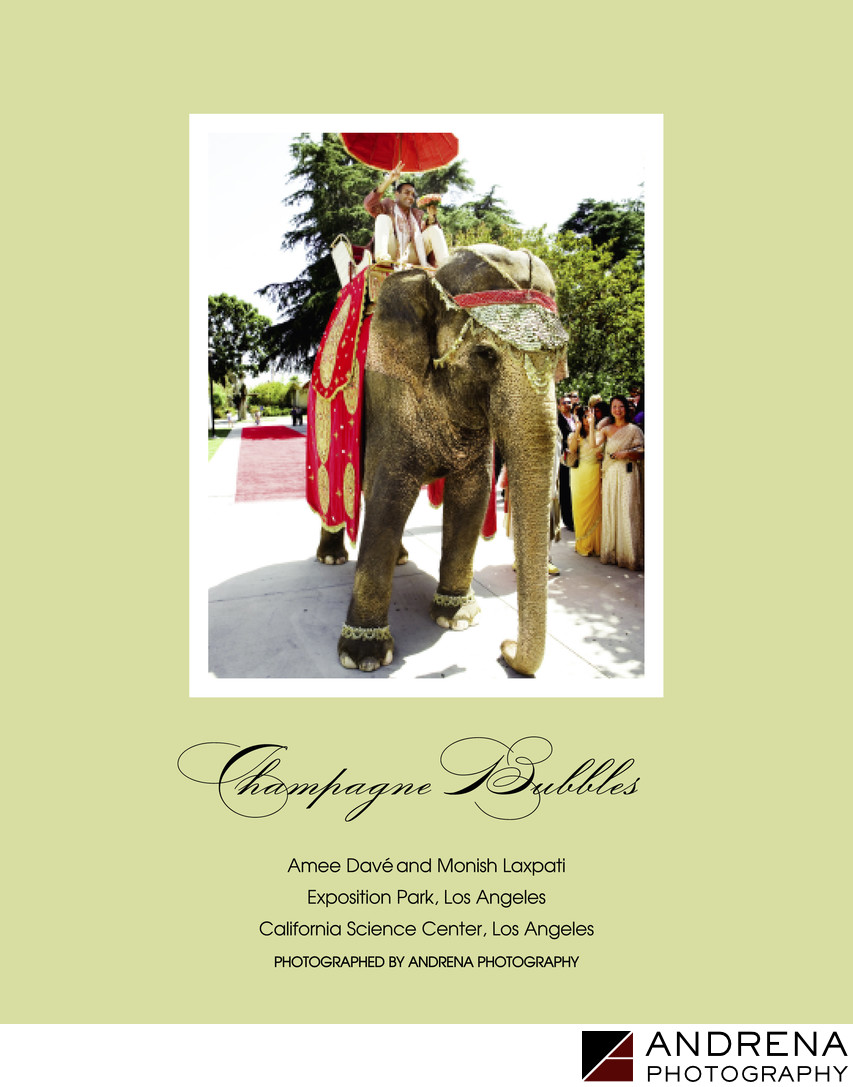 Indian Wedding Baraat Ceremony Magazine
