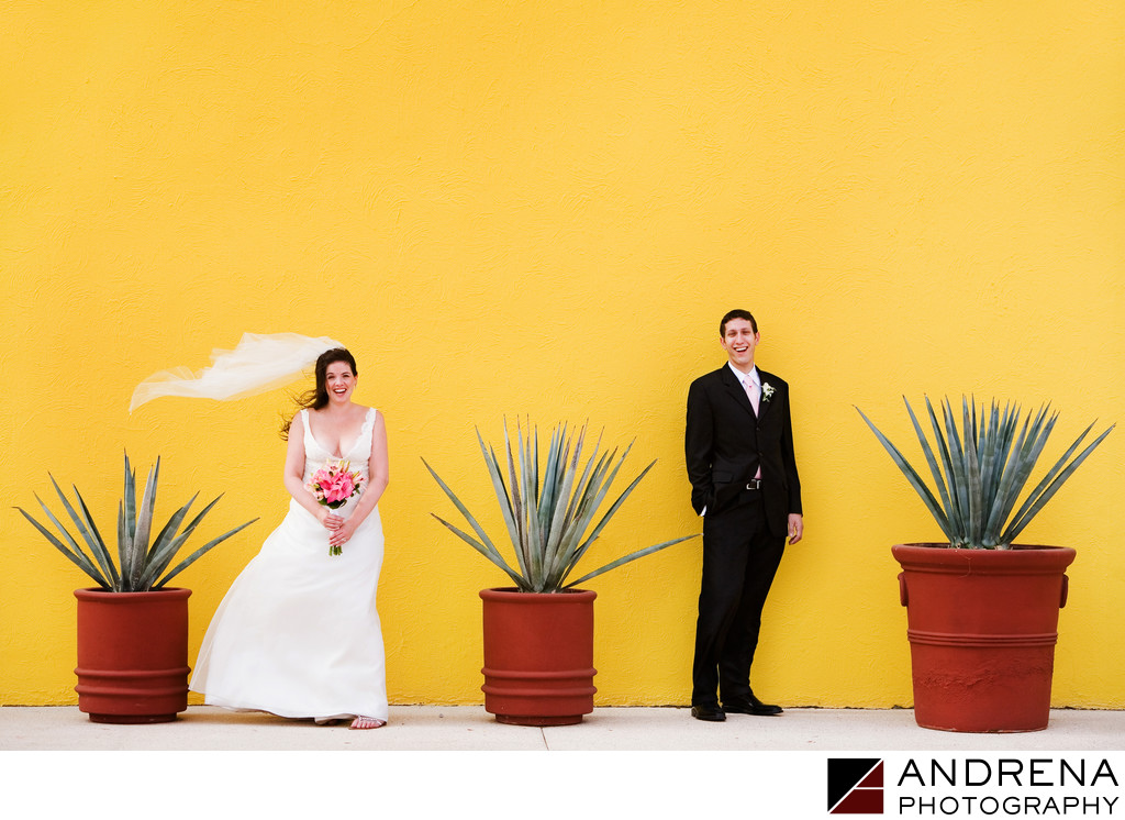 Destination Wedding Photographer Los Cabos Mexico