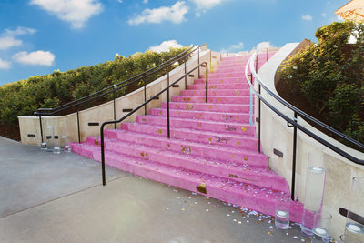 Pink Carpet Bat Mitzvah Los Angeles
