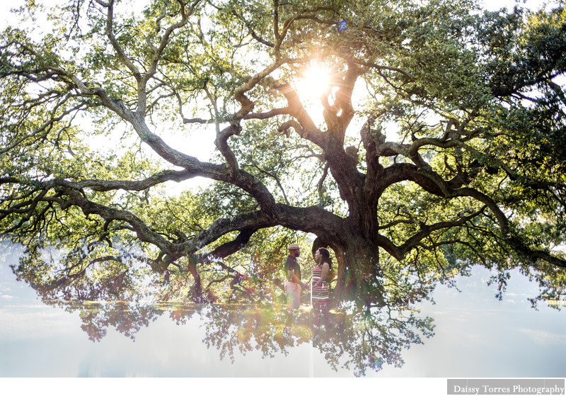 Emancipation Oak Tree's Engagement Session