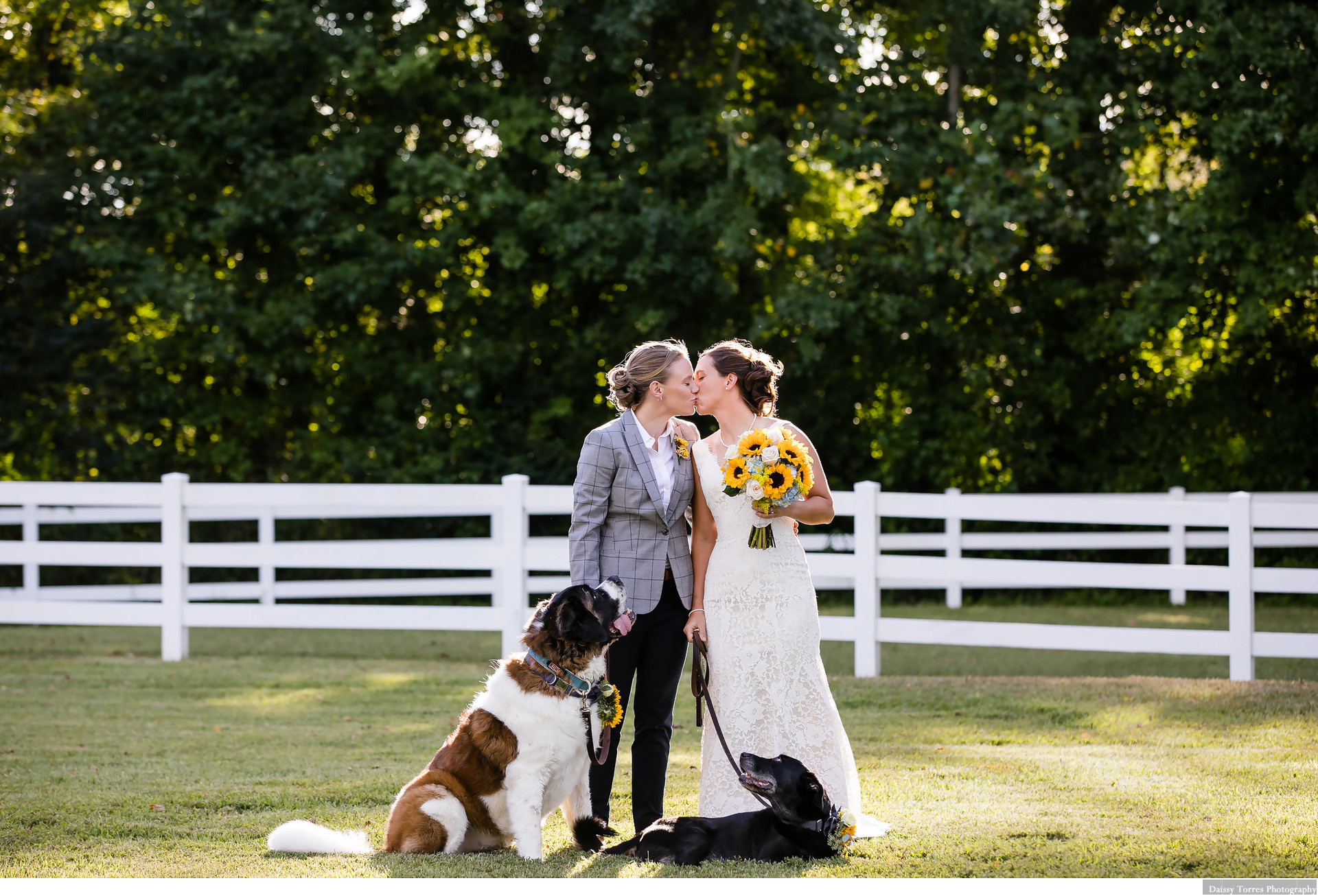Culpepper Farm Wedding Photographer Weddings Daissy Torres Photography