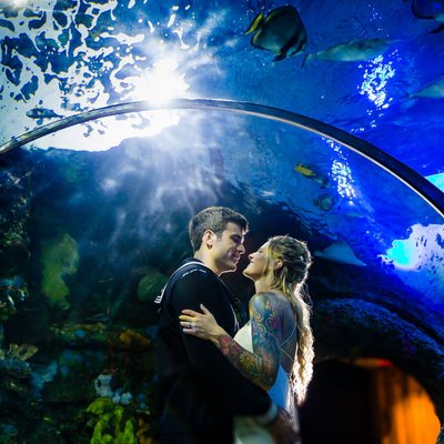 Virginia Beach Aquarium Wedding